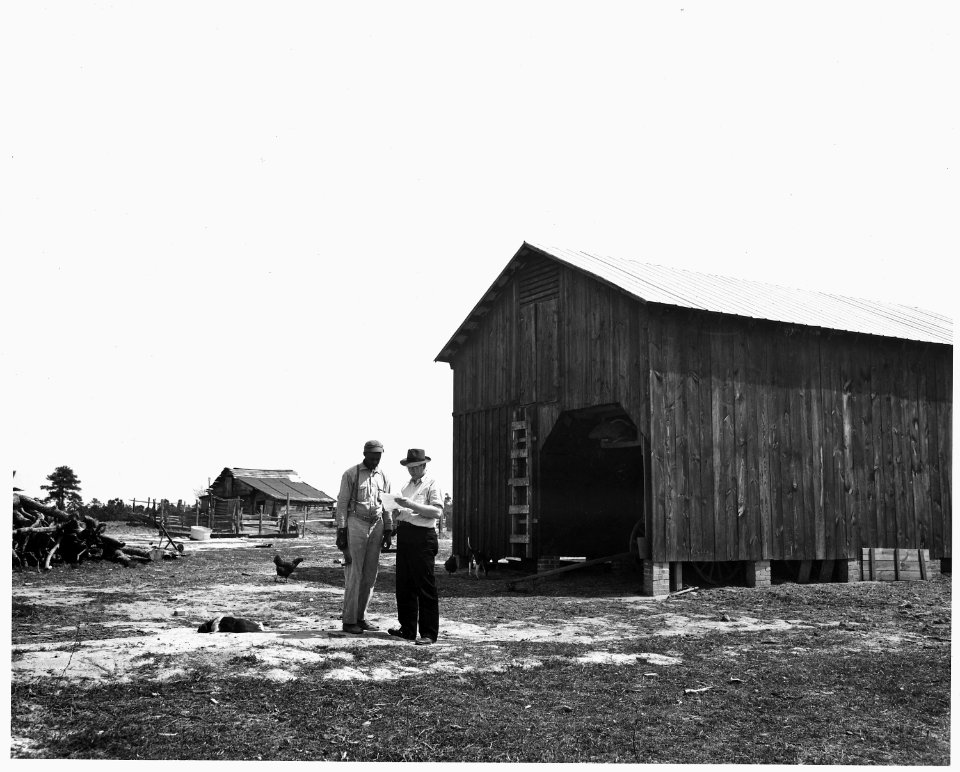 Newberry County, South Carolina. View showing new and old barn of Peter Kinard. - NARA - 522762