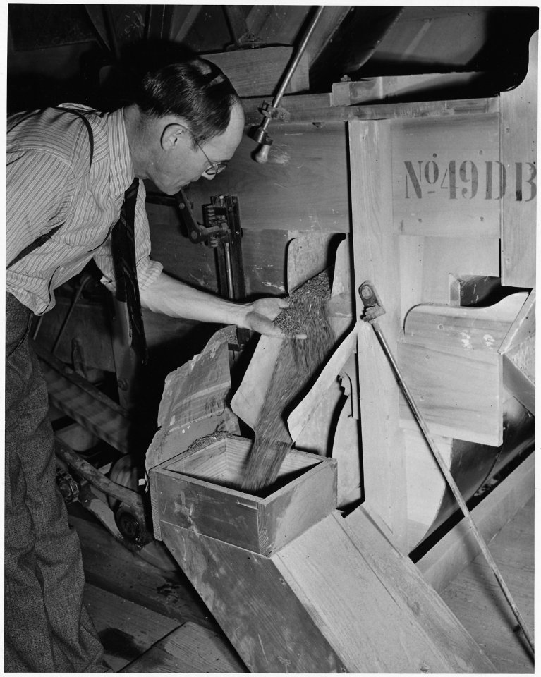 Newberry County, South Carolina. Weed, foreign seed and chaff as removed by seed cleaner, Southern . . . - NARA - 522702