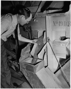 Newberry County, South Carolina. Weed, foreign seed and chaff as removed by seed cleaner, Southern . . . - NARA - 522702