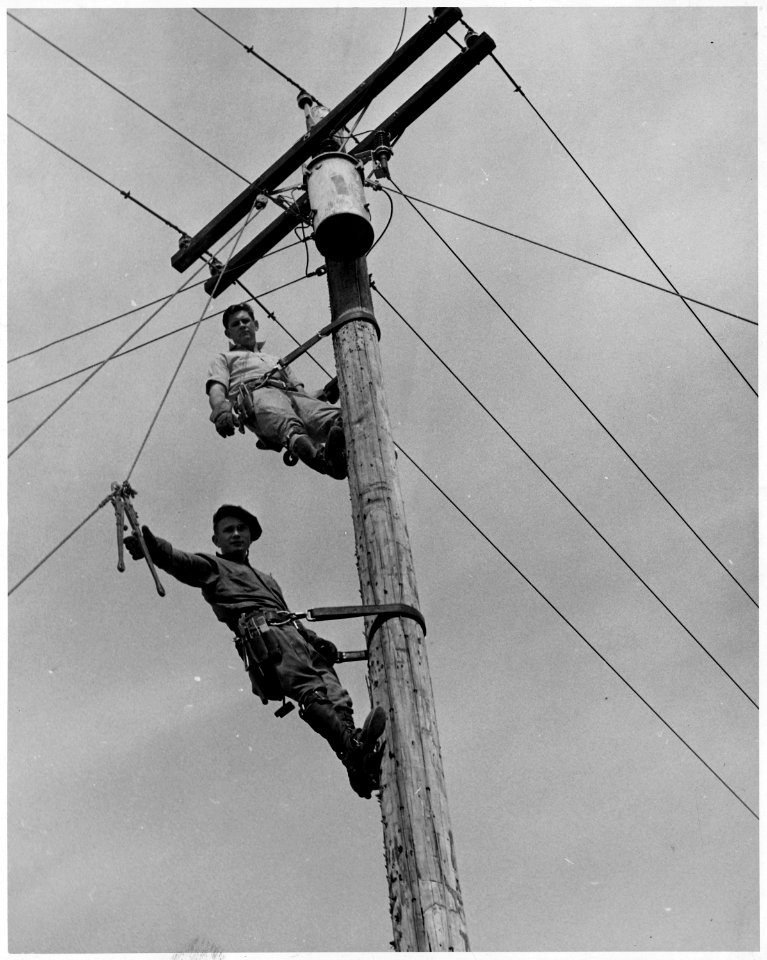 Newberry County, South Carolina. Tools being sent by ground man to linesmen of Newberry Electric Coo . . . - NARA - 522678