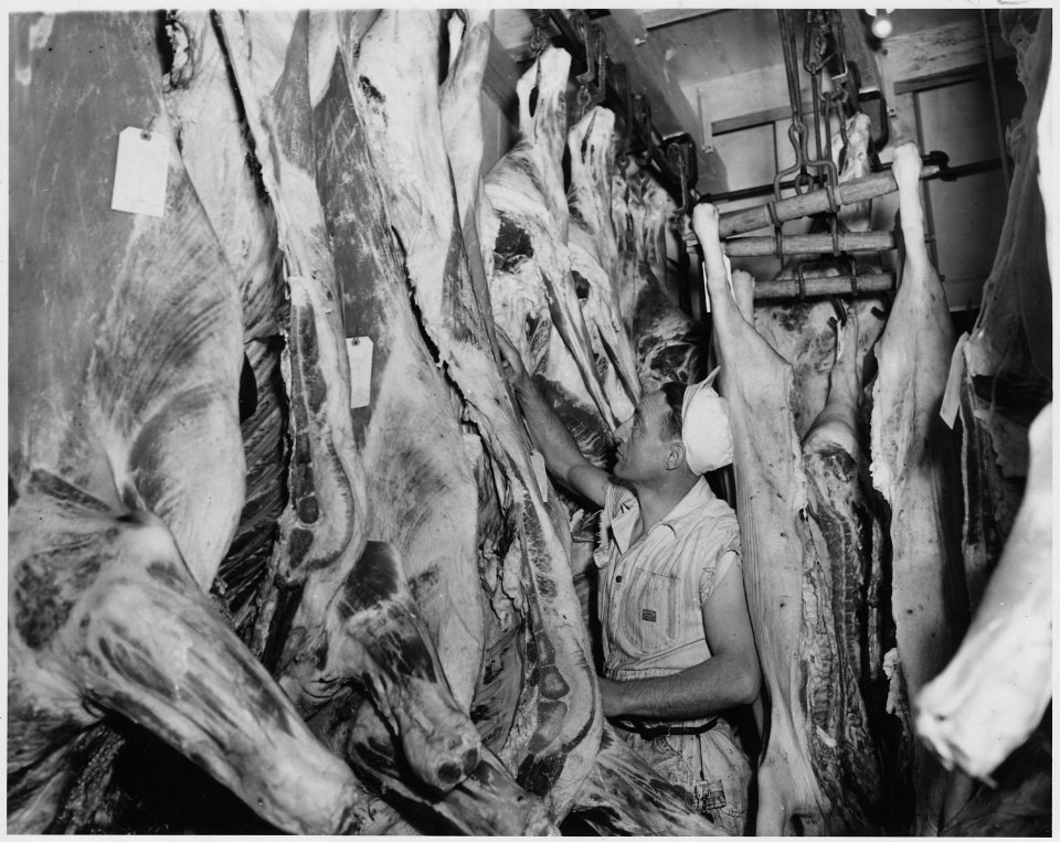 Newberry County, South Carolina. To the left in this picture is shown dressed cattle in the cold sto . . . - NARA - 522691