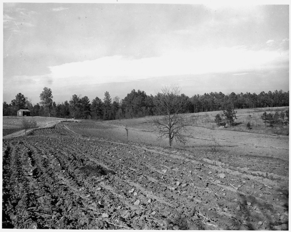 Newberry County, South Carolina. View from farm of Dan Clark, Whitmire, Route 2, South Carolina, int . . . - NARA - 522792