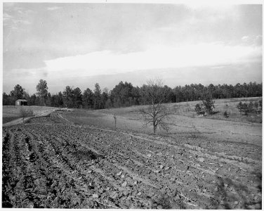 Newberry County, South Carolina. View from farm of Dan Clark, Whitmire, Route 2, South Carolina, int . . . - NARA - 522792