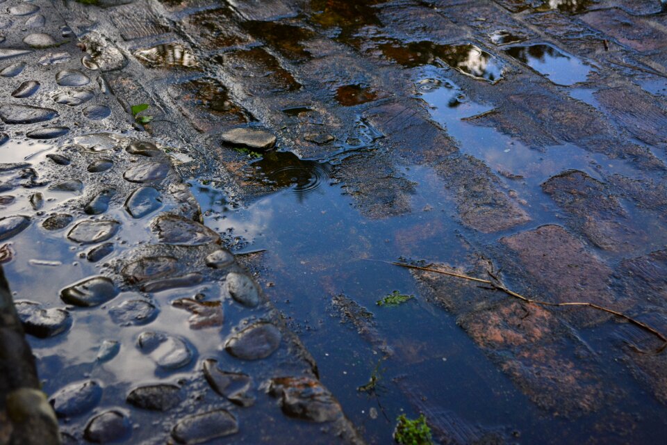 Brick wallpaper rainy day