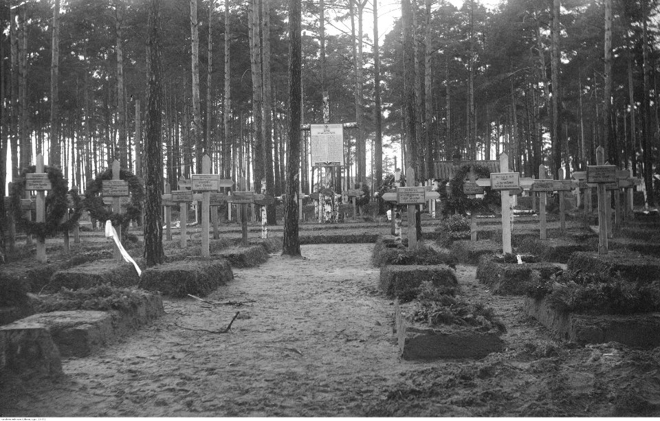 Niemiecki cmentarz wojskowych w Baranowiczach (22-372)