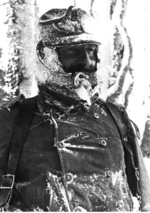 Niemiecki tragarz górski, front włoski (2-2387)