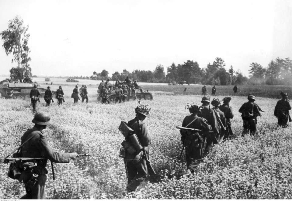 Niemiecka piechota i wojska pancerne wśród pól rzepakowych na froncie wschodnim. (2-975)