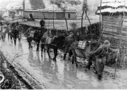 Niemieckie jednostki transportowe w okolicach Przełęczy Dukielskiej (2-816)