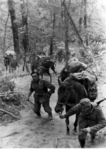 Niemieckie jednostki transportowe na Kaukazie (2-822)