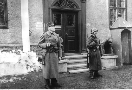 Niemiecki posterunek w Trondheim (2-445) photo