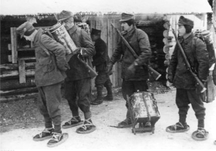 Niemieckie jednostki transportowe w lasach Karelii (2-763)