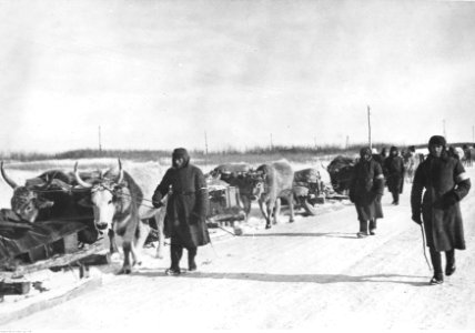 Niemieckie jednostki zaopatrzeniowe w rejonie rzeki Doniec (2-756)