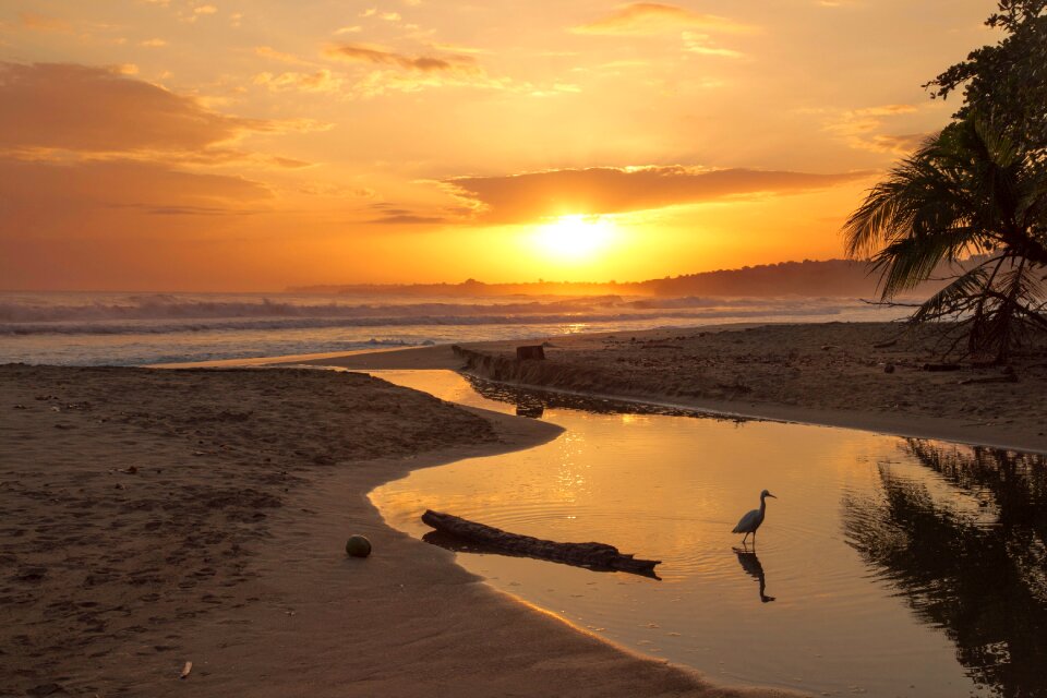 Waves nature sunset