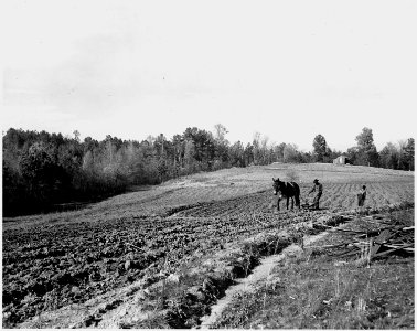 Newberry County, South Carolina. View from farm of Dan Clark, Whitmire, Route 2, South Carolina, in . . . - NARA - 522761