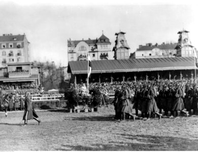 Obchody święta 11 listopada w Warszawie (22-259-5)