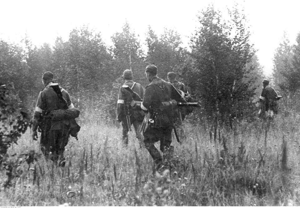 Niemieckie działania przeciwpartyzanckie w lasach na froncie wschodnim (2-1933)