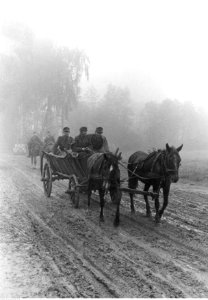 Niemieckie jednostki zaopatrzeniowe w Galicji (2-778)