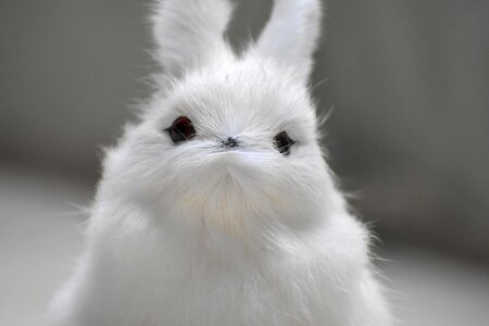 Showpiece gray rabbit gray bunny