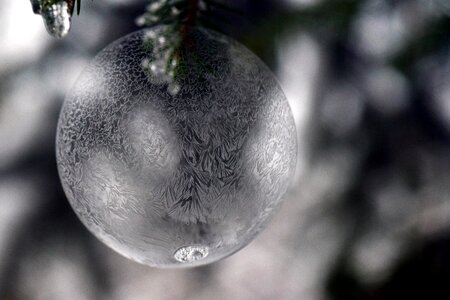 Frozen soap bubble frozen bubble photo