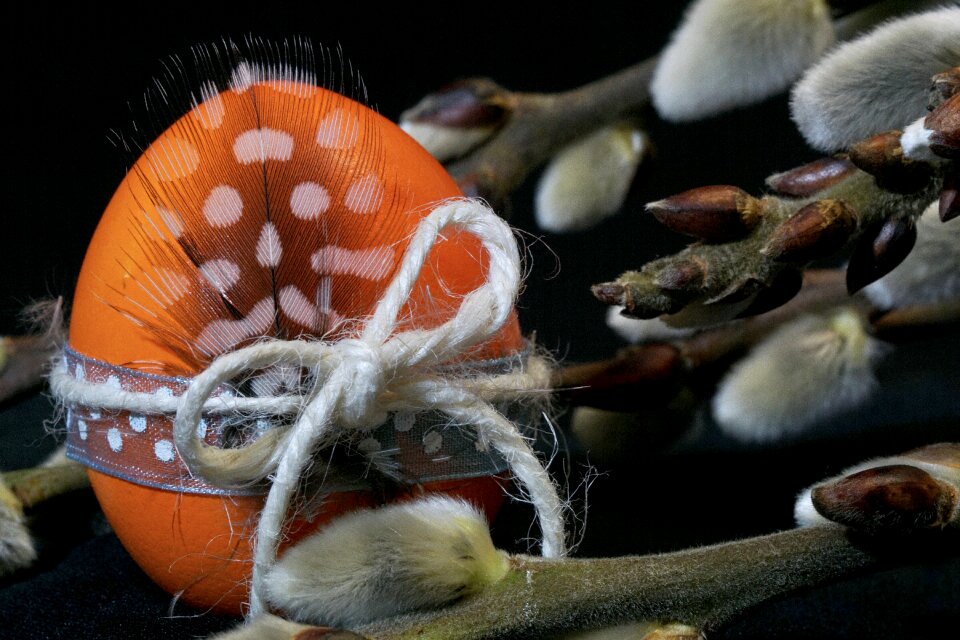 Easter egg orange colorful