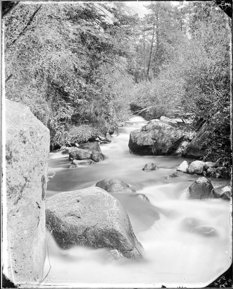 On Boulder Creek, Aquarius, Plateau, Garfield County, Utah. Old No. 284. Similar to 781 and 782. - NARA - 517791