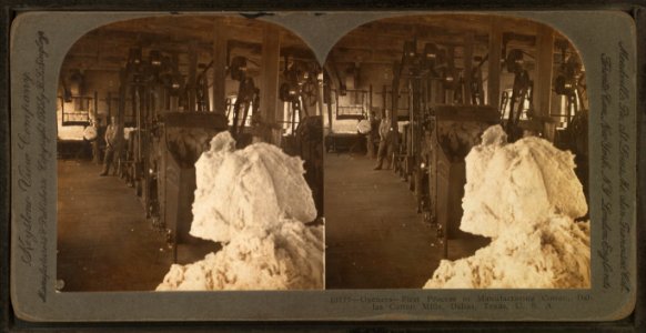 Openers - First Process in Manufacturing Cotton, Dallas Cotton Mills, Dallas, Texas, U.S.A, by Singley, B. L. (Benjamin Lloyd)