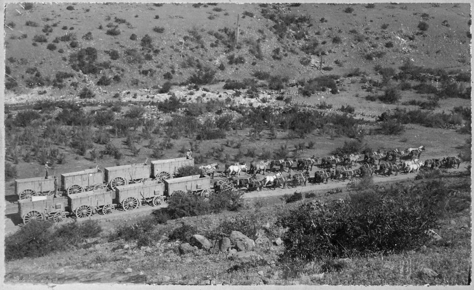 Ore teams on a dusty road, Pinal Co., Ariz. Terr., ca. 1897 - NARA - 516372