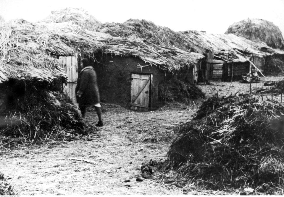Osiedle prowizorycznych chałup nad Donem (2-1905)