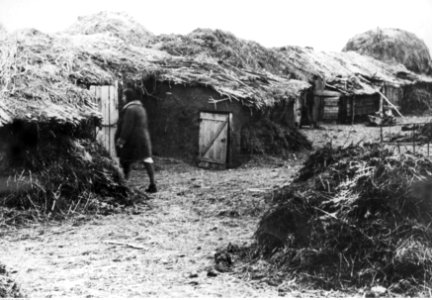 Osiedle prowizorycznych chałup nad Donem (2-1905)