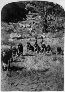Paiute children playing game called wolf and deer, northern Arizona, 10-1872 - NARA - 517729
