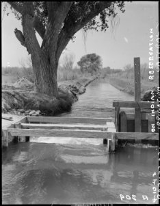 Parker, Arizona. The land is plentiful. But the water is scarce. Irrigation canals, such as tha . . . - NARA - 536248