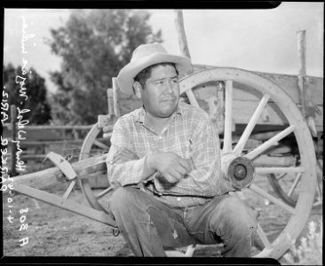 Parker, Arizona. Henry Welsh, Mojave Indian and chairman of the tribal council of the Colorado Rive . . . - NARA - 536247 photo