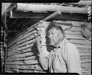 Parker, Arizona. Ben Butler, a Mojave and the most successful farmer on the Colorado River Indian R . . . - NARA - 536269 photo