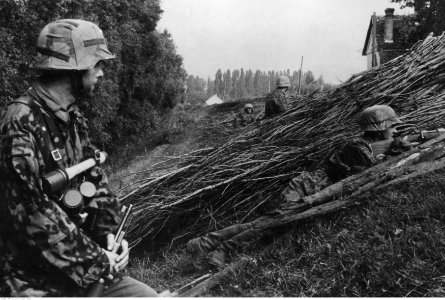 Patrol zwiadowczy Waffen-SS na skraju wioski na froncie wschodnim (2-1004) photo