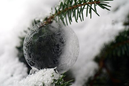 Frozen soap bubble frozen bubble photo
