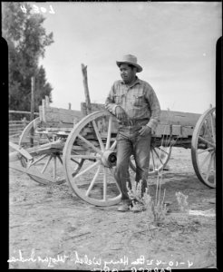 Parker, Arizona. Henry Welsh, Mojave Indian and chairman of the tribal council for the Colorado Riv . . . - NARA - 536246 photo