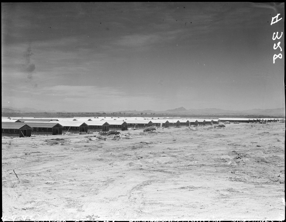 Parker, Arizona. View of quarters under construction for evacuees of Japanese ancestry at War Reloc . . . - NARA - 536264