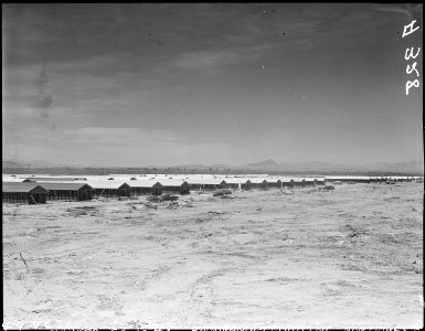Parker, Arizona. View of quarters under construction for evacuees of Japanese ancestry at War Reloc . . . - NARA - 536264