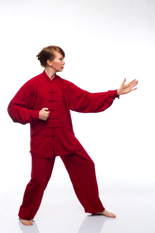 Martial arts qigong taichi