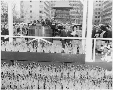 Photograph of President Truman delivering a speech accepting the gift of a carillon from the people of the... - NARA - 200377