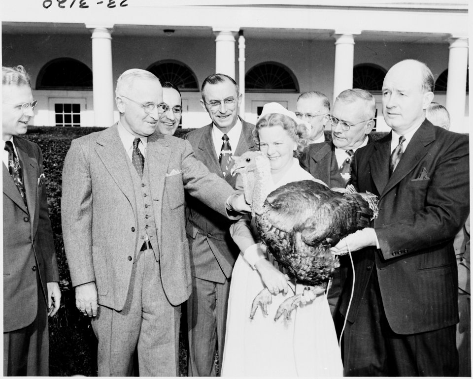 Photograph of President Truman receiving a Thanksgiving turkey from members of the Poultry and Egg National Board and... - NARA - 200138