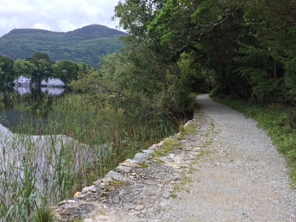 Gravel promenade forest