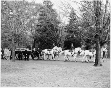 Photograph of the cortege bearing the flag-draped coffin of Private Leslie Coffelt, a White House policeman who was... - NARA - 200243