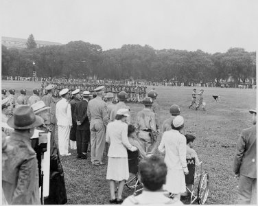 Photograph of the Japanese-American 442nd Regimental Combat Team passing in review for President Truman, other... - NARA - 199396