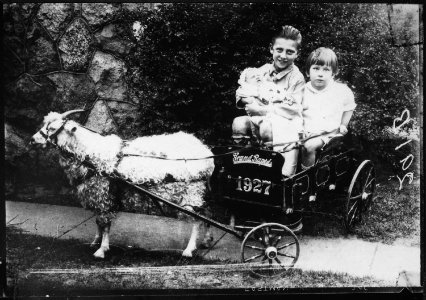 Photograph of Thomas, Richard, and James Ford - NARA - 186909