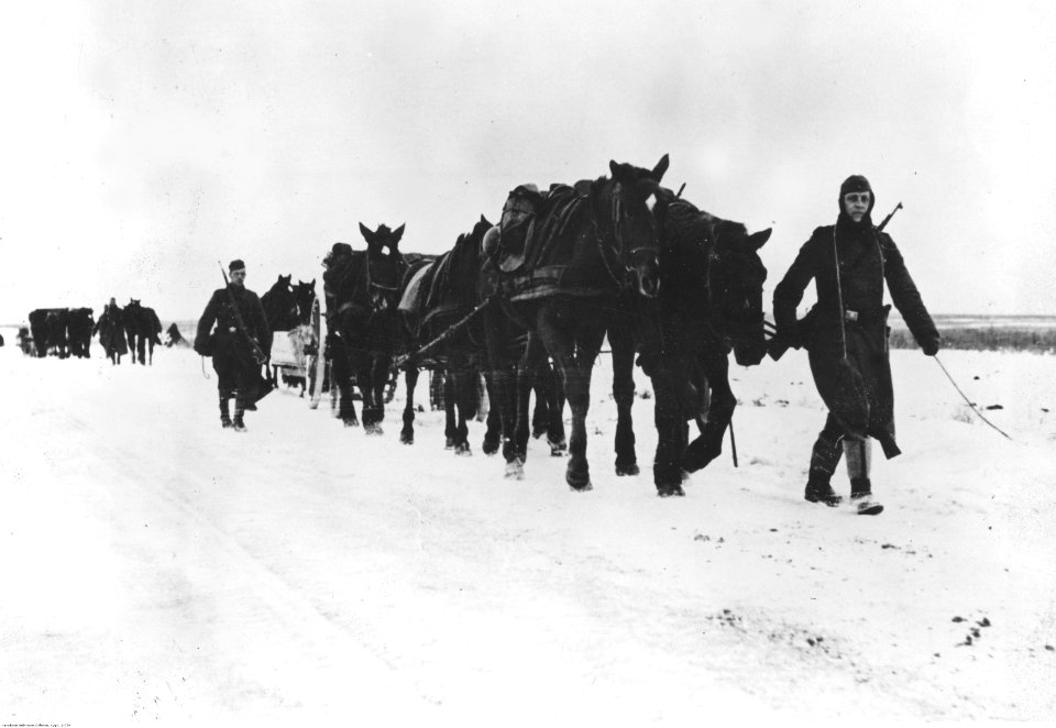 Piechota niemiecka podczas walk na łuku Donu (2-754)
