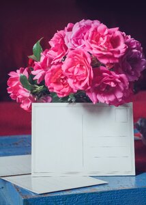 Bouquet background pink photo