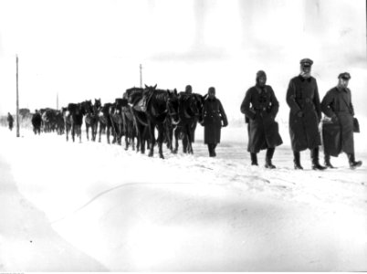 Piechota niemiecka w marszu na Leningrad (2-867)