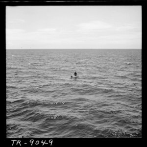 Pilot waits in life raft somewhere in South Pacific for rescue plane. - NARA - 520939