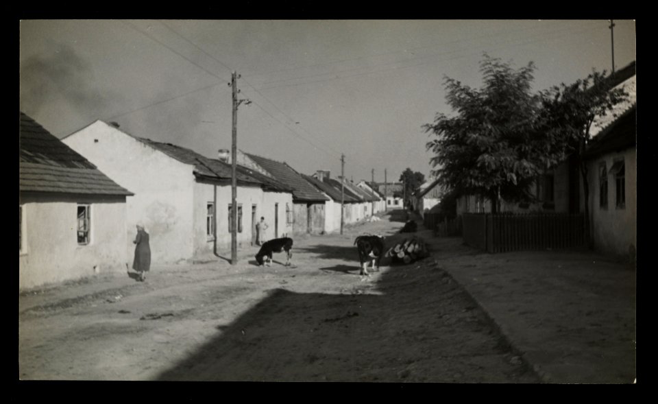 Pinczow, ulica ca 1936 (66229770)